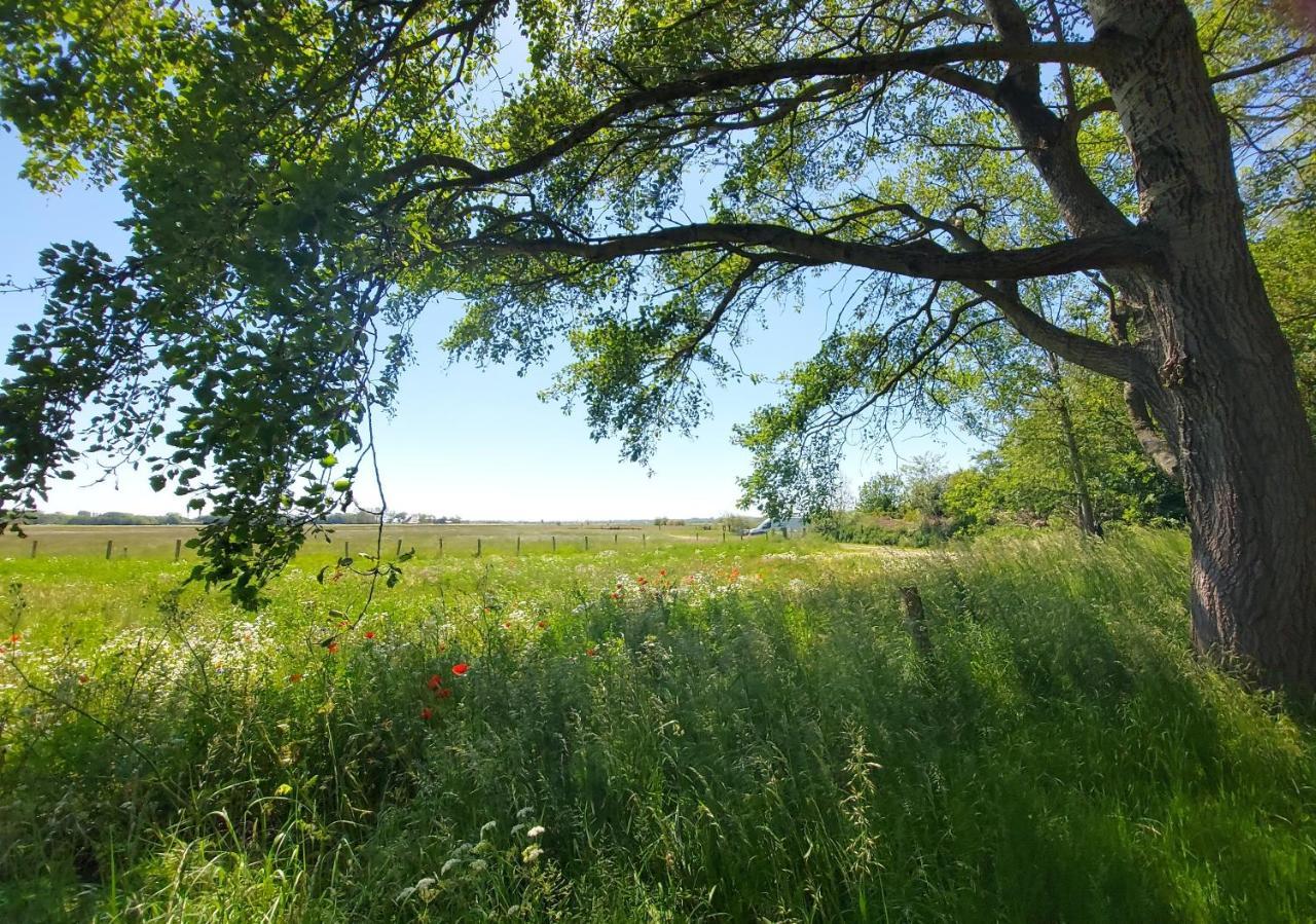 Holiday Home Canal View Αλκμάαρ Εξωτερικό φωτογραφία